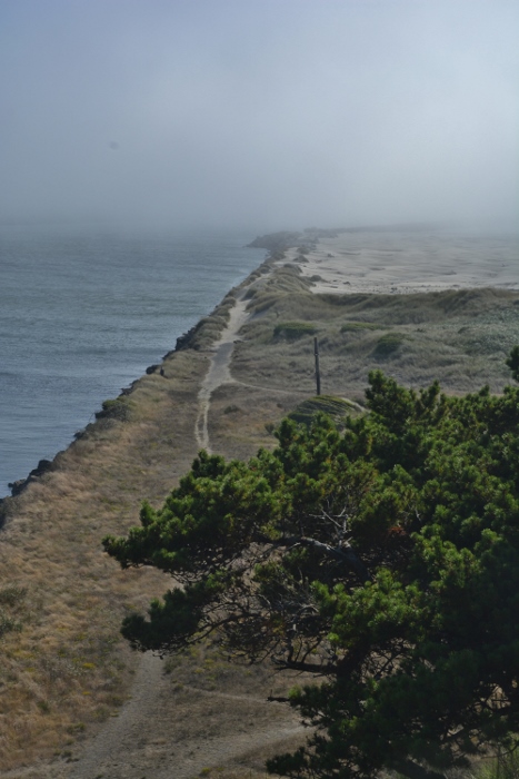 the north jetty fogged in